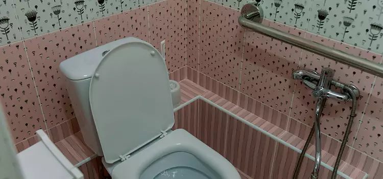 Meeting Diverse Needs With Accessible Restroom Solutions in Oakley, CA